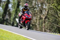 Oulton-Park-20th-March-2020;PJ-Motorsport-Photography-2020;anglesey;brands-hatch;cadwell-park;croft;donington-park;enduro-digital-images;event-digital-images;eventdigitalimages;mallory;no-limits;oulton-park;peter-wileman-photography;racing-digital-images;silverstone;snetterton;trackday-digital-images;trackday-photos;vmcc-banbury-run;welsh-2-day-enduro